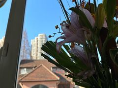 -蝶舍·MAISON PAPILLON