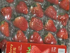 -山姆会员商店(上海浦东店)