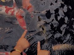 -喜月轩