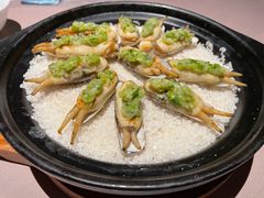 盐焗长江蛏子-新荣记(南京西路店)