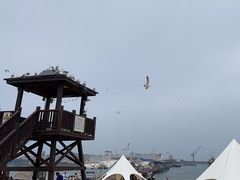 -海驴岛(荣成市)