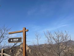 -大岭沟猕猴桃谷风景区