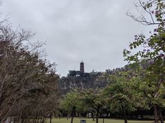 -南沙天后宫景区