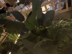 -艺水间水汇