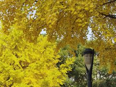 -苏州河梦清园环保主题公园