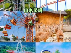 -中国大竹海景区