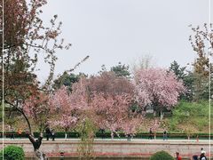 -海棠花溪(元大都城垣遗址公园)