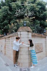 -日光视觉婚纱摄影(旗舰店)