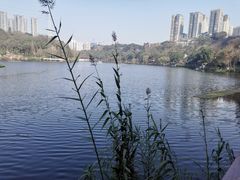 -重庆彩云湖湿地公园