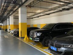 -上海浦东国际机场T1航站楼-P1停车场