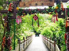 -西双版纳原始森林公园