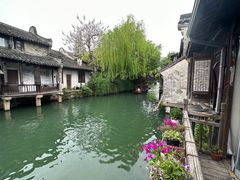 -乌镇西栅景区