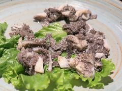-老墙根涮肉·铜锅·烧烤(欢乐谷·王四营店)