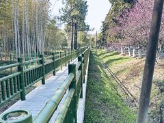 -大蜀山国家森林公园