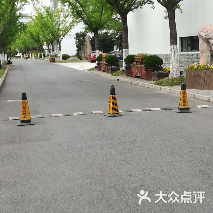 杨思中学初中部