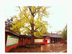 -金堂县云顶石城风景区