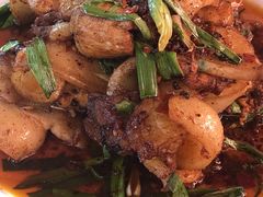 回锅肉-代木儿回锅肉