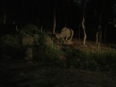 -清迈夜间动物园