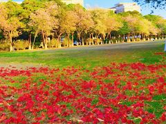 -华南师范大学(广州大学城校区)