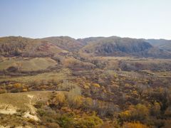 -御道口草原森林风景区