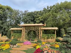 -上海共青森林公园