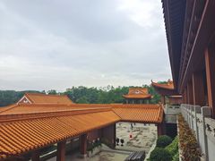 -深圳仙湖植物园