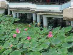 -云龙湖旅游景区