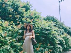 -金梦海湾浴场