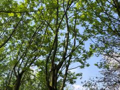 -贵阳市花溪国家城市湿地公园