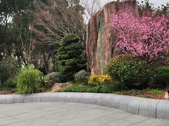 -昆山城市生态森林公园