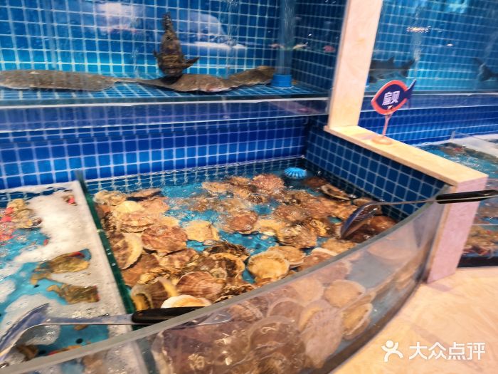 乔哥铭洋海鲜自助(皇城恒隆广场店)水产区图片