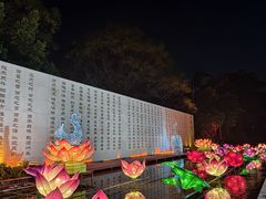 -广西壮族自治区药用植物园