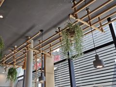 -红辣椒陶氏丝娃娃(南国花锦店)