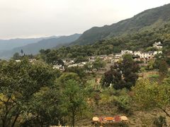 -塔川景区
