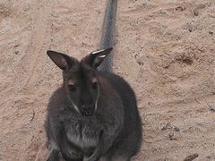 -广东茂名森林公园