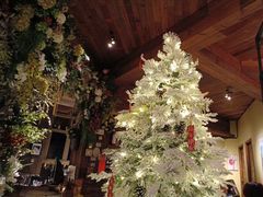 -一棵树·意大利西餐厅One Tree(新城店)