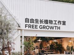 -自由生长植物工作室(深港花卉中心店)