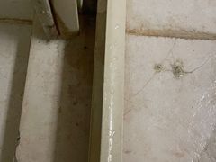 -三亚亚龙湾金棕榈度假酒店