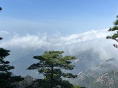 -黄山玉屏楼宾馆餐厅