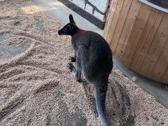 -海合安武汉极地海洋公园