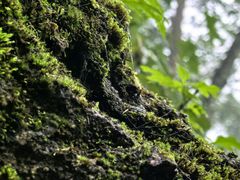 -洛阳白云山景区
