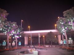 iphone_upload_pic-莲花国际广场