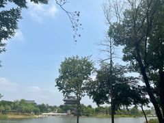 -海珠湖公园