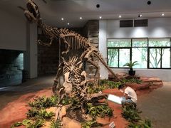 -自贡恐龙博物馆