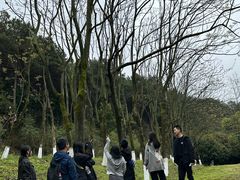 -铁山坪森林公园