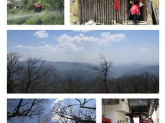 -牛背梁国家森林公园