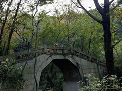 -青龙山国家森林公园