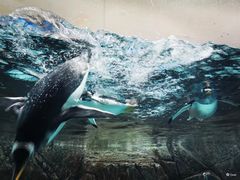 -成都浩海立方海洋公园