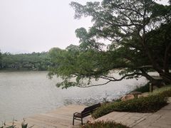 -江心屿景区