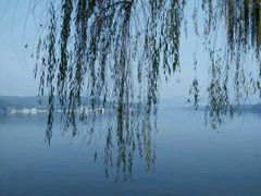 android_upload_pic-惠州西湖